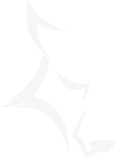 Delta Wolf Solutions logo with a stylized wolf head, representing strategic problem-solving and dynamic business solutions.